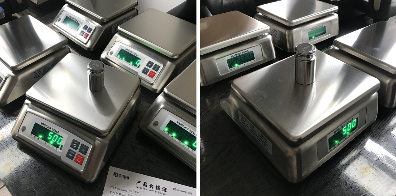 DS-30不锈钢防水秤